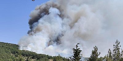 Balıkesir'deki orman yangınına 10 dakika sonra müdahale edildi