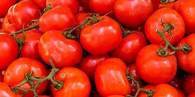 DOMATES TARLADA 3 LİRA