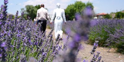 Keçiören Lavanta ve Gül Bahçesi ziyaretçileri mest ediyor