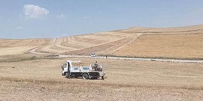 Pursaklar Ekiyor Biçiyor Üretime Can Veriyor