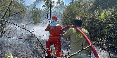 Sakarya'dan Bilecik'e sıçrayan yangında ikinci gün! Yüzlerce kişi tahliye edildi